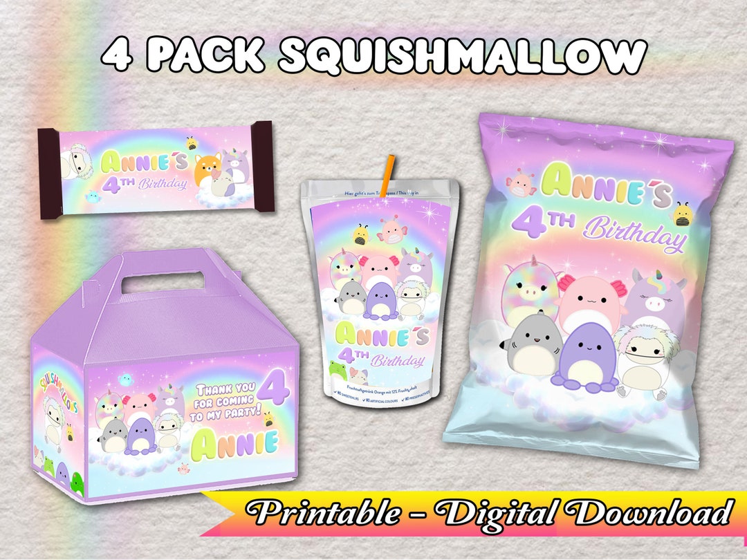 4 Pack Squishmallow Girl Chip Bag Juice Candy Bar Gable Box