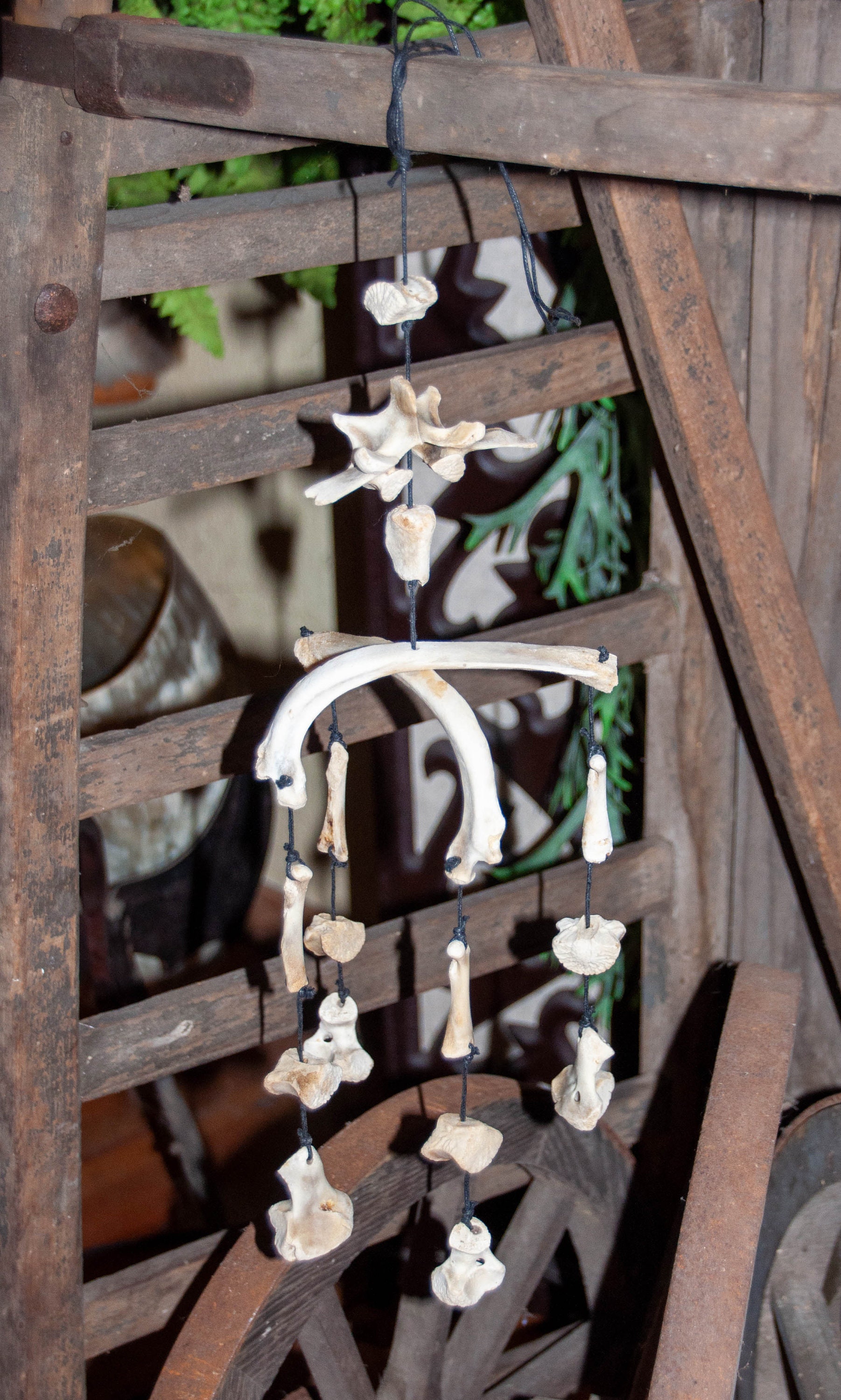 Wind Chime Bone Genuine Bone Bone Windgame Shaman Wicca Etsy