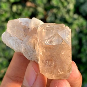 シェリーブラウンカラーの天然エッチングトパーズ結晶標本（パキスタン