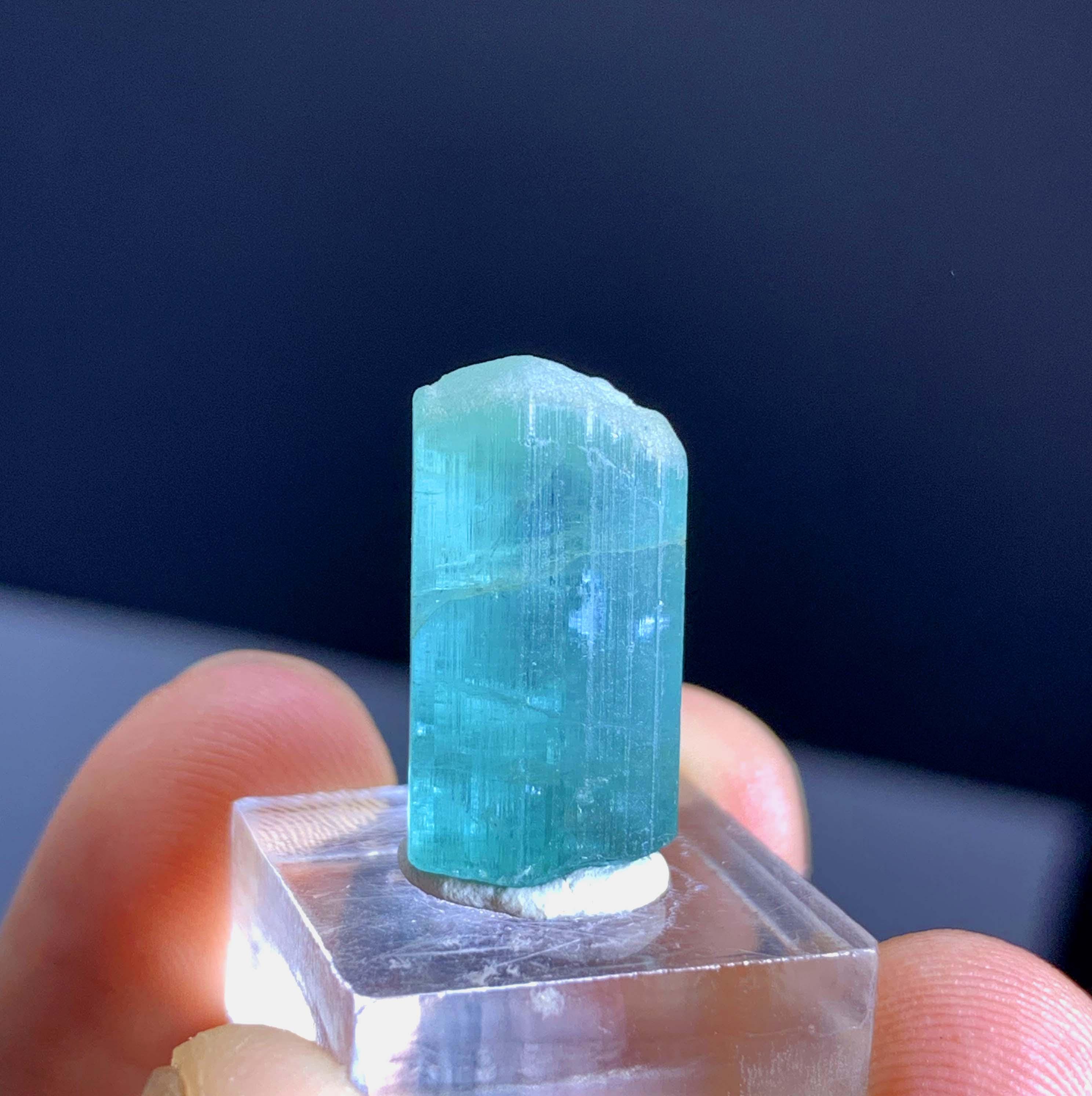 Terminated Colorful Gemmy Terminated Paraiba Color Tourmaline Crystal From Paprok ...