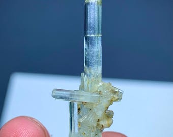 Cristalli di acquamarina trasparente dalla valle di Shigar, Pakistan - 7,55 carati