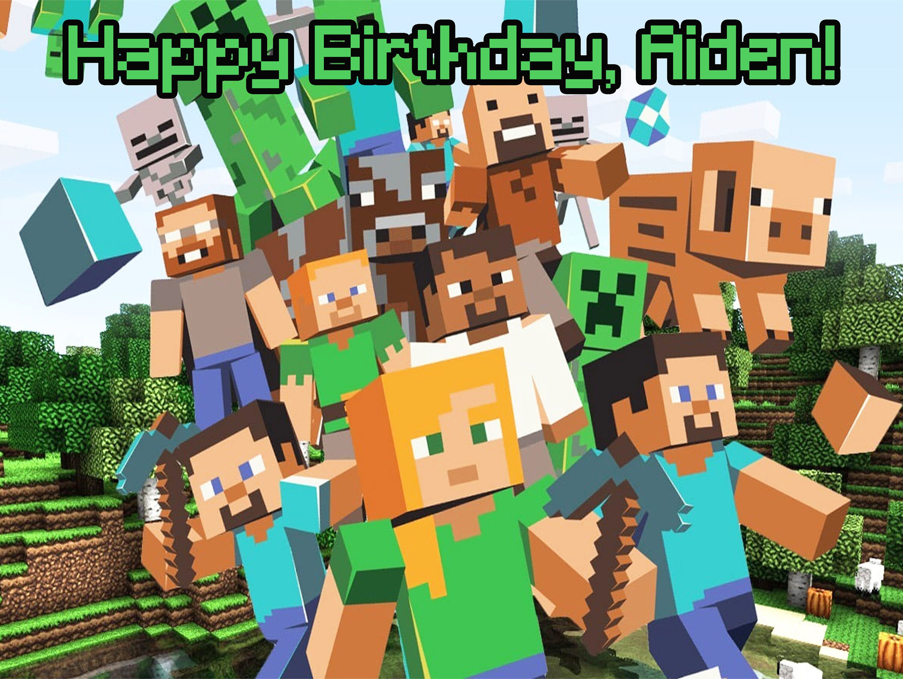 Custom Image Edible Frosting Sheet