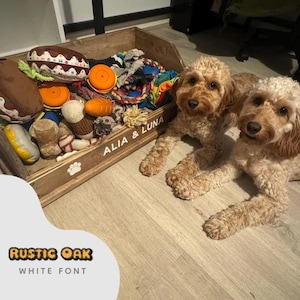 Small Toy / Storage / Gifts Box Dog / Pet Toys "Style 4"