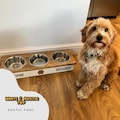 Handmade Solid Pine 3-Bowl Dog Feeder – Custom Elevated Stainless Steel Bowls ( 17cm Bowls )