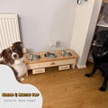 Handmade Solid Pine 3-Bowl Dog Feeder: Custom Elevated Pet Food Station ( 21cm Bowls )