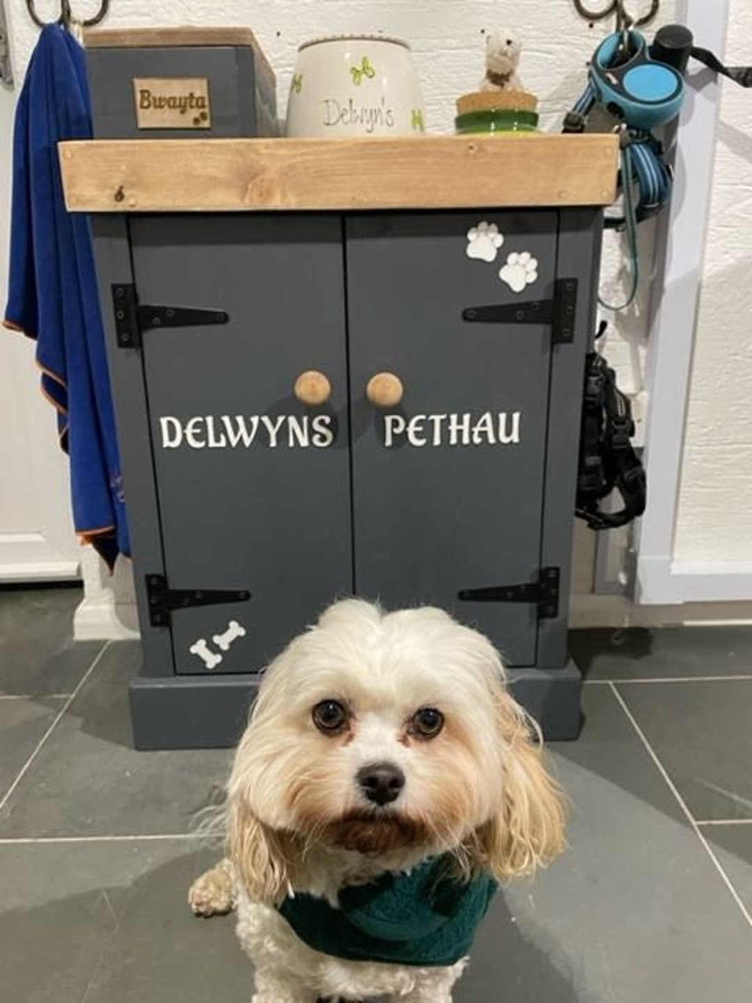 Custom Dog / Pet Coat/lead Wardrobe / Storage Mini Cupboard Etsy UK