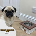 Dog/Cat Food/Water Bowl - 1 Bowl Stand/Feeder Station/Custom STAINLESS STEEL *17cm Bowl*