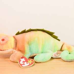 TY Beanie Baby / Iggy&#39; The Iguana  / Vintage / Great condition / Regular size / Teenie size