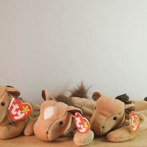 TY Beanie Baby / Derby The Horse  / Vintage / Great condition / Regular size