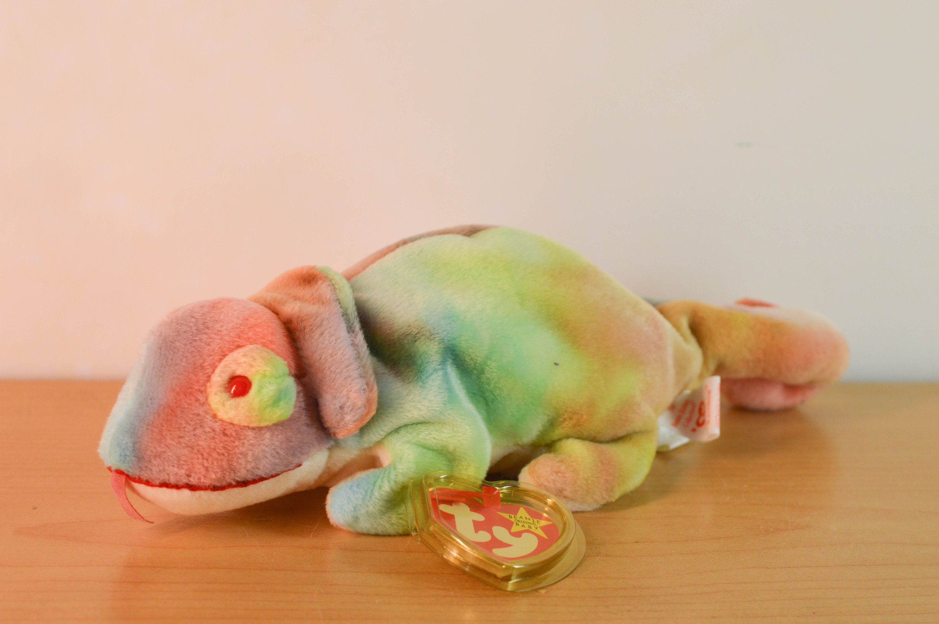 chameleon ty
