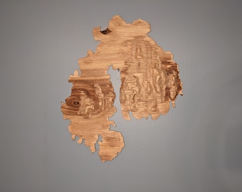 Mount Desert Island and Acadia National Park 3D Topographic Map Wood Relief Carving