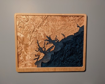 ACE Basin 3D Topographic Map Wood Relief Carving