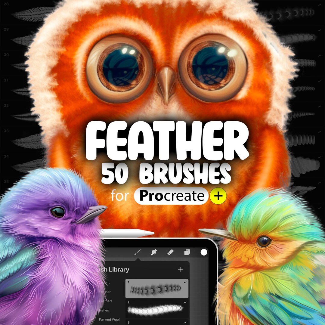 50 Procreate Feather Brushes Procreate Bird Feather Brush Procreate