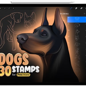 Può includere: Un'illustrazione digitale di un cane Dobermann Pinscher con un manto nero e marrone. L'immagine fa parte di un set di 30 timbri di cani per Procreate.