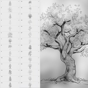 150 Procreate Tree Stamps | Realistic Tree Brushes for Procreate ...