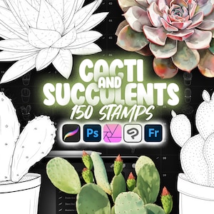 Cactus Studio - Etsy