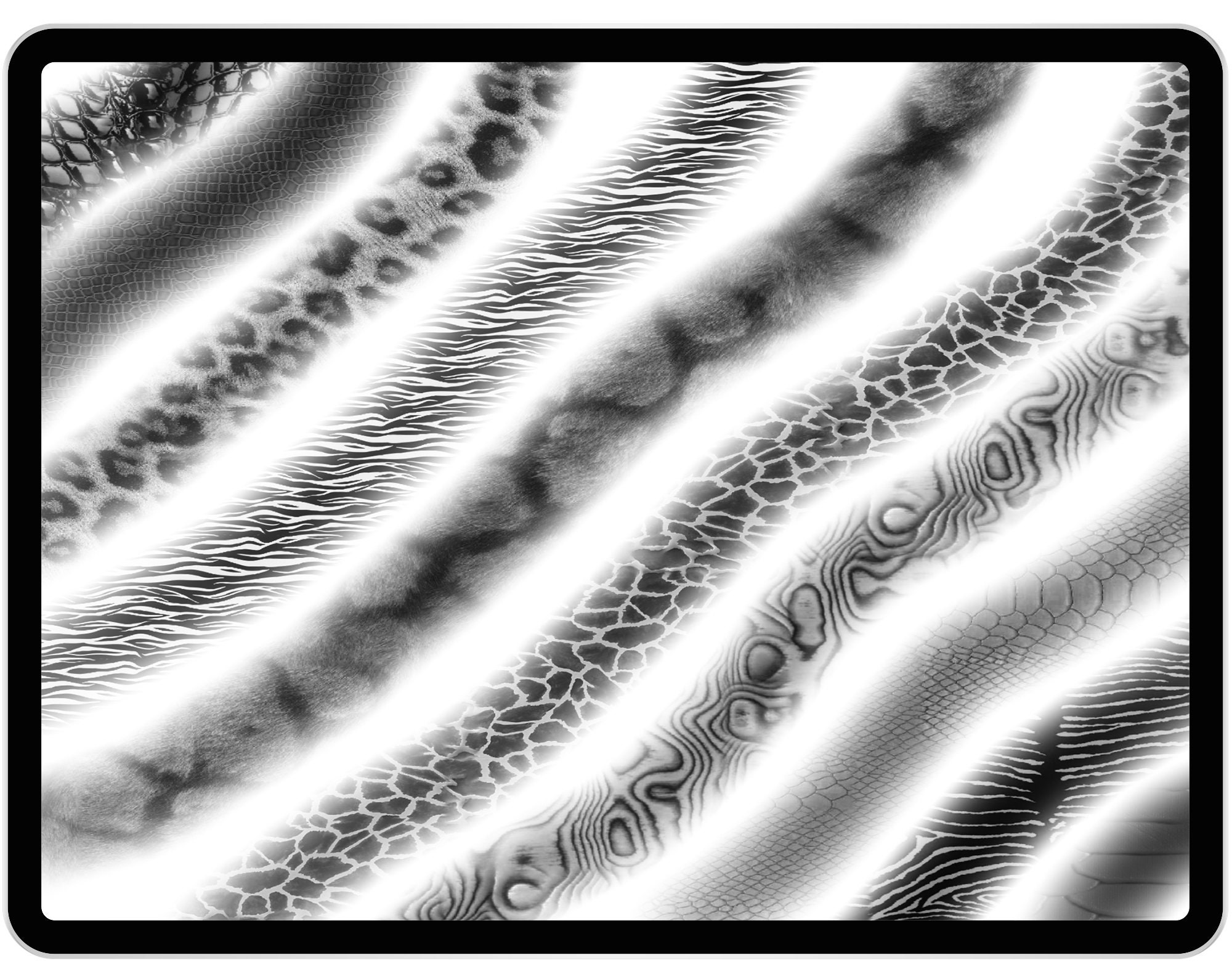 30 Procreate Animals Textures Procreate Animal Skins Etsy