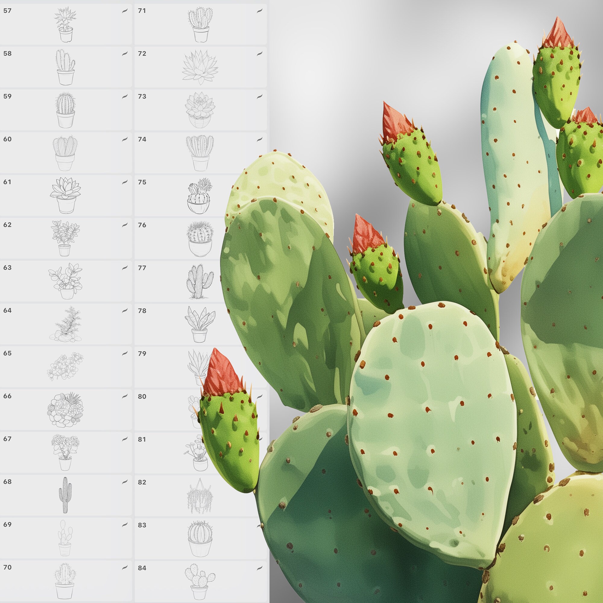 150 Procreate Cactus Stamp Brushes | Photoshop Succulents Brush | Clip ...