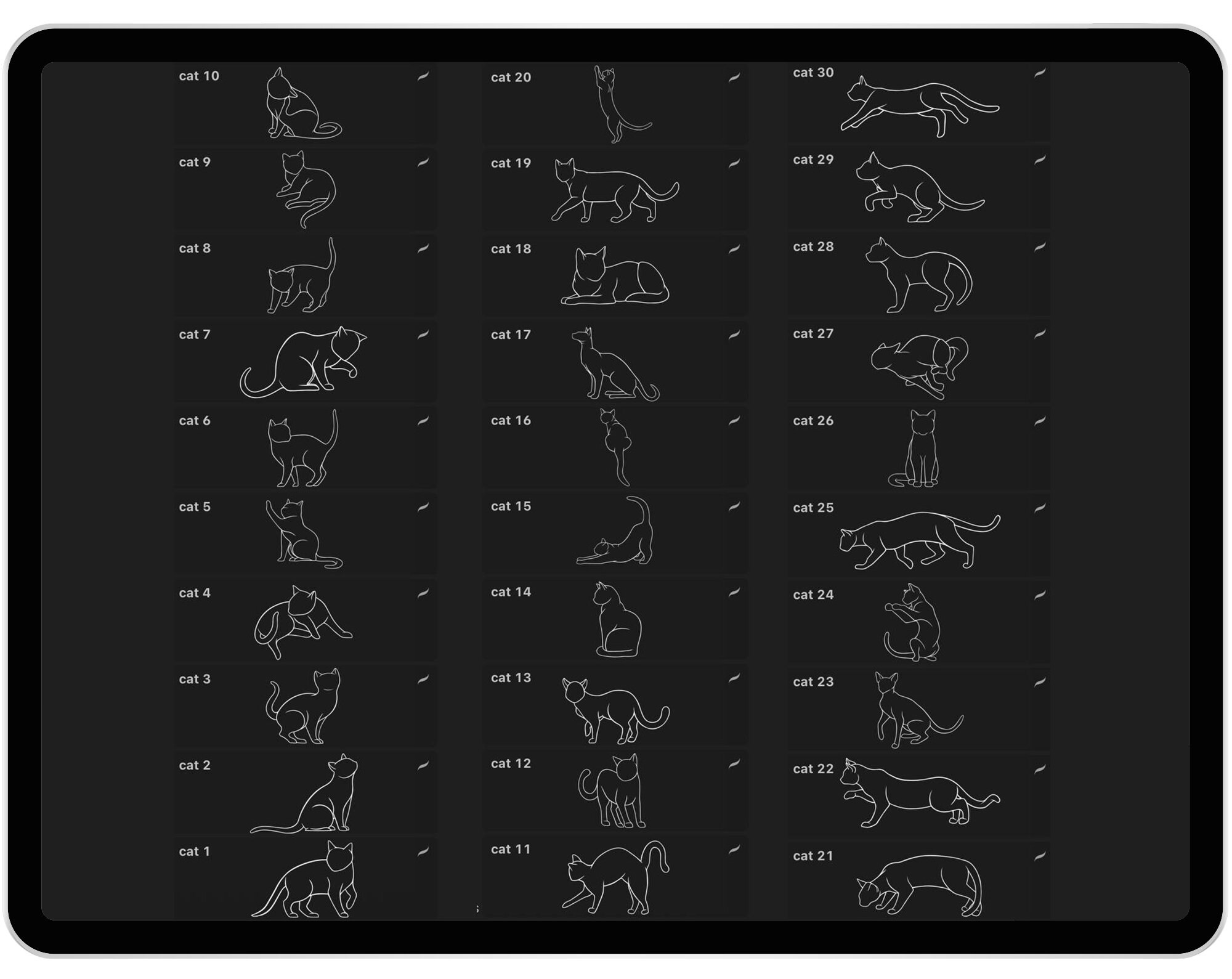 30 Procreate Cat Stamp Brushes Procreate Cats Reference - Etsy