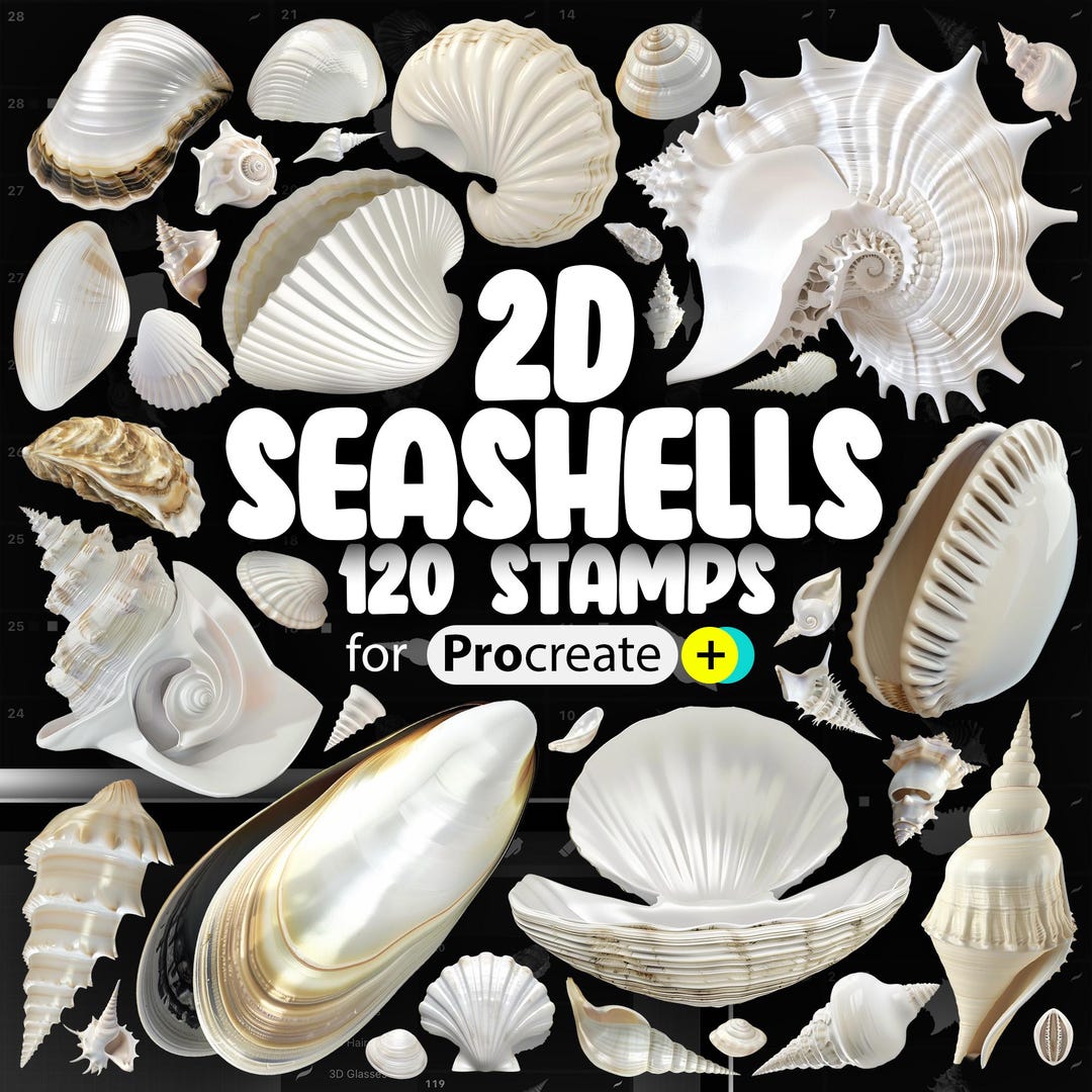 120 Procreate 2D Seashells Stamps | Procreate Sea Shells | Procreate ...
