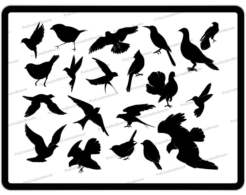 35 Procreate Birds Brushes Procreate Wild Birds Stamp Etsy