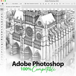 60 French Architecture Procreate Brushes, 60 French Architecture ...