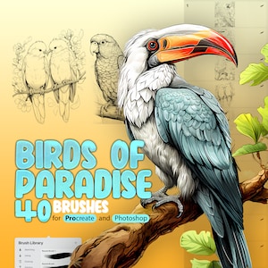 40 Pincéis de carimbo Birds of Paradise para Procreate, pássaros tropicais Procreate, animais Procreate, papagaio Procreate, pavão Procreate