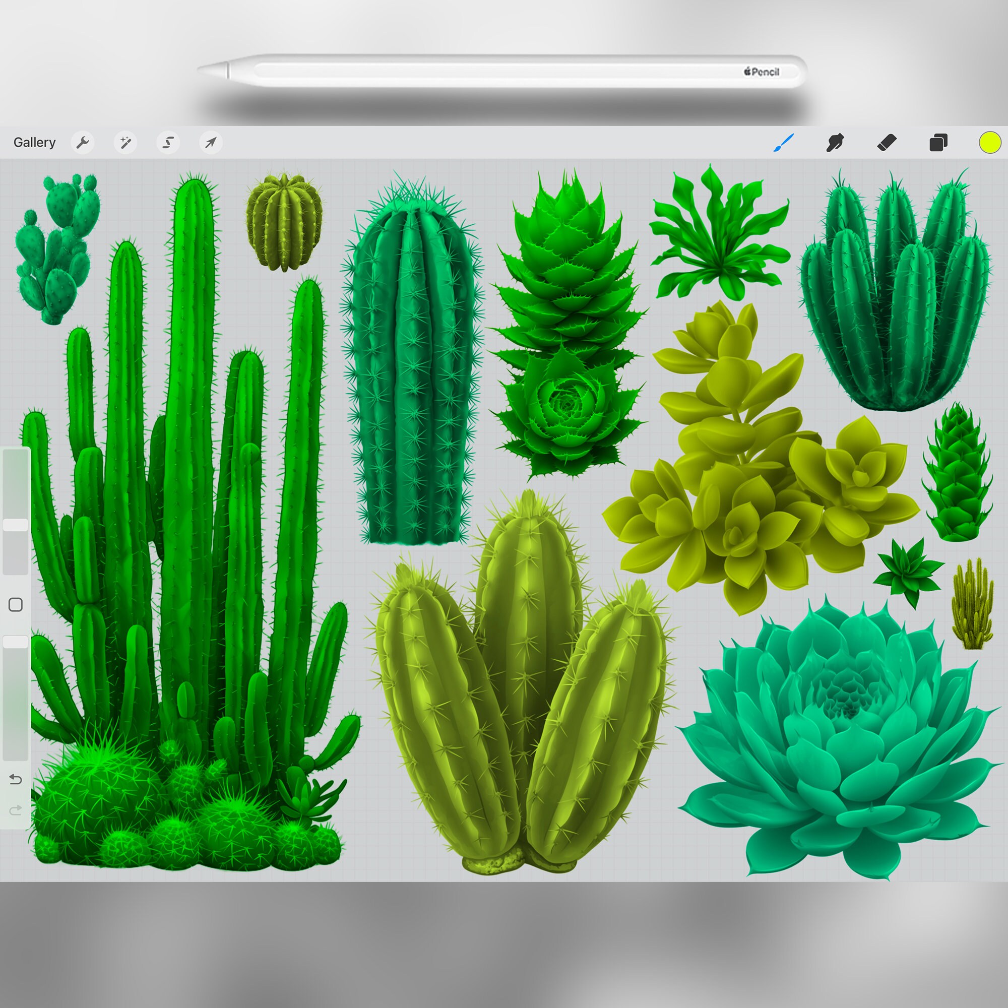 100 Procreate Cactuses Stamp Brushes | Procreate Plant Stamps ...