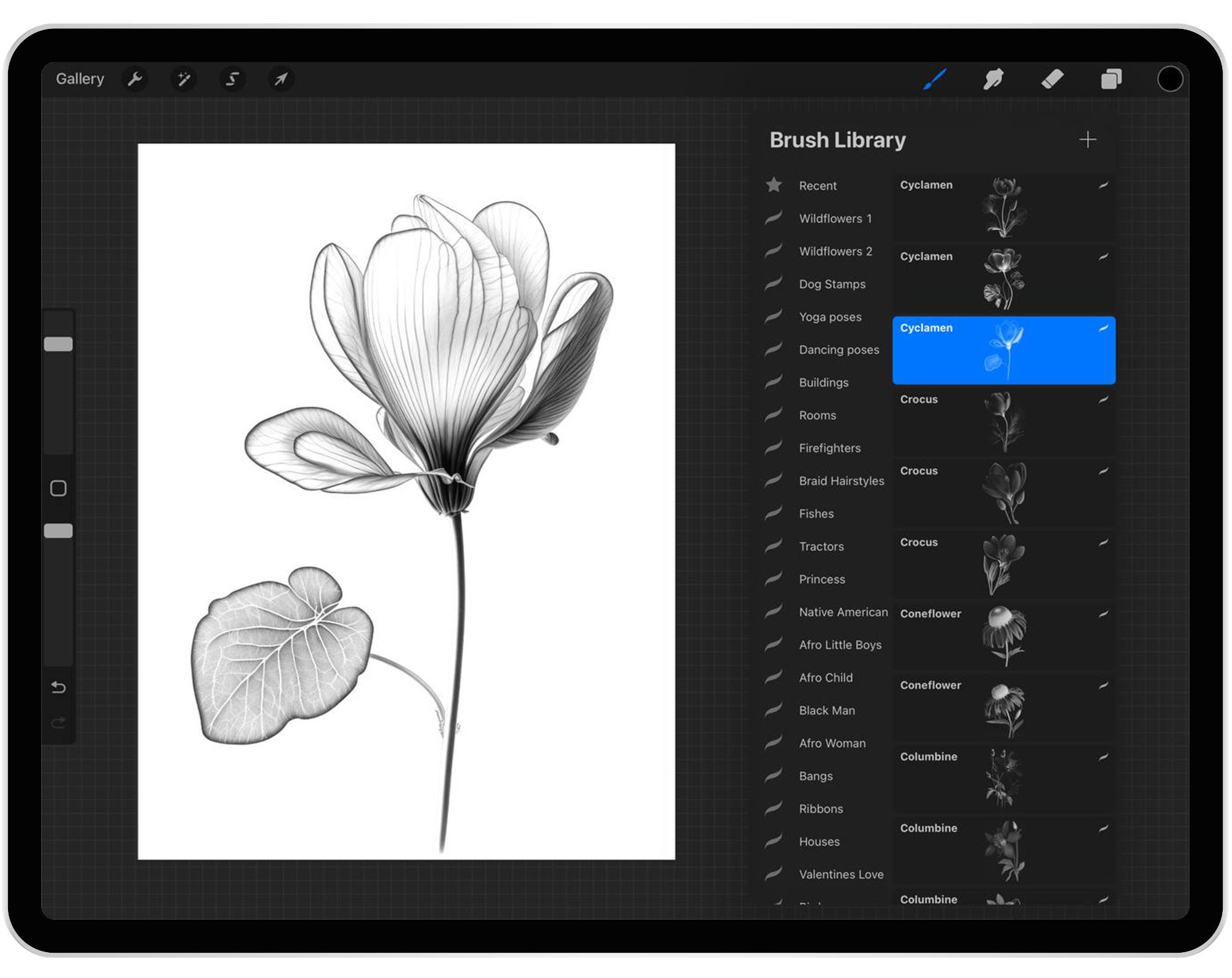 80 Procreate Wildflowers Part - 2 Stamp Brushes, Procreate Flowers ...