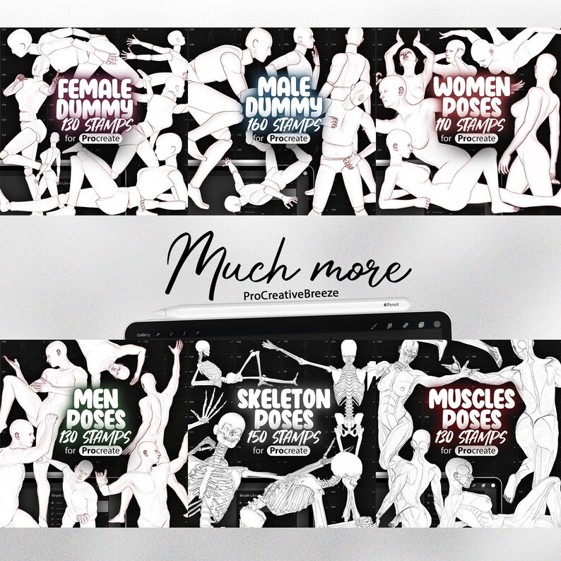 130 Procreate Female Muscular Poses Stamps Procreate Body Anatomy