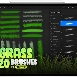 20 Procreate Grass Stamp Brushes, 20 Photoshop Grass Stamp Brushes, Nature, Greenery, Grass, Bushes