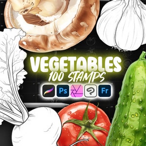 100 Procreate Gemüse Stempel | Photoshop Stempel | Clip Studio Paint Gurke, Aubergine, Pilze, Knoblauch, Zwiebel, Kürbis