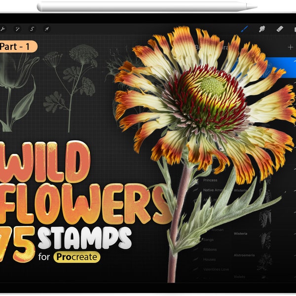 75 Procreate Wildflowers Part - 1 Stamp Brushes, Procreate Flowers, Procreate Floral, Procreate Zinnias, Procreate Yarrow,Procreate Wisteria