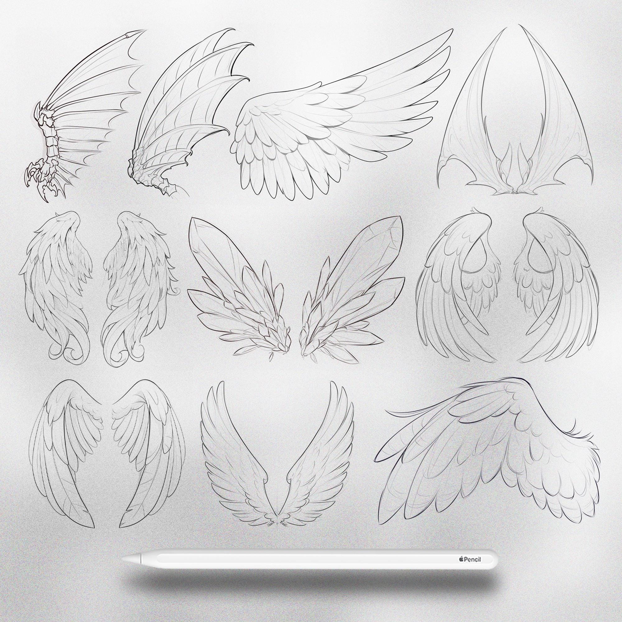 110 Procreate Wings References Stamps | Angel Wings Procreate | Bat ...
