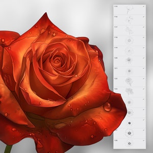130 Procreate Flowers Stamp Brushes | Photoshop Wildflowers | Clip ...
