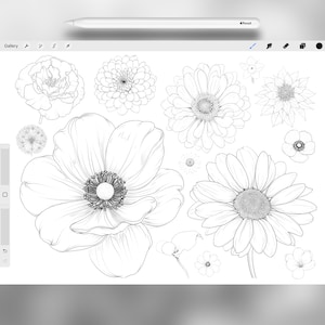 130 Procreate Flowers Stamp Brushes | Photoshop Wildflowers | Clip ...
