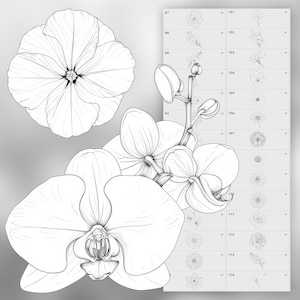 130 Procreate Flowers Stamp Brushes | Photoshop Wildflowers | Clip ...