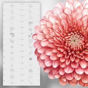 130 Procreate Flowers Stamp Brushes | Photoshop Wildflowers | Clip ...