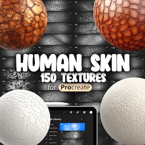 150 textures de peau humaine procréation | Matériau de la peau réaliste Procréez des brosses sans couture | Procreate Brushes Skin | Brosse Derma Procreate