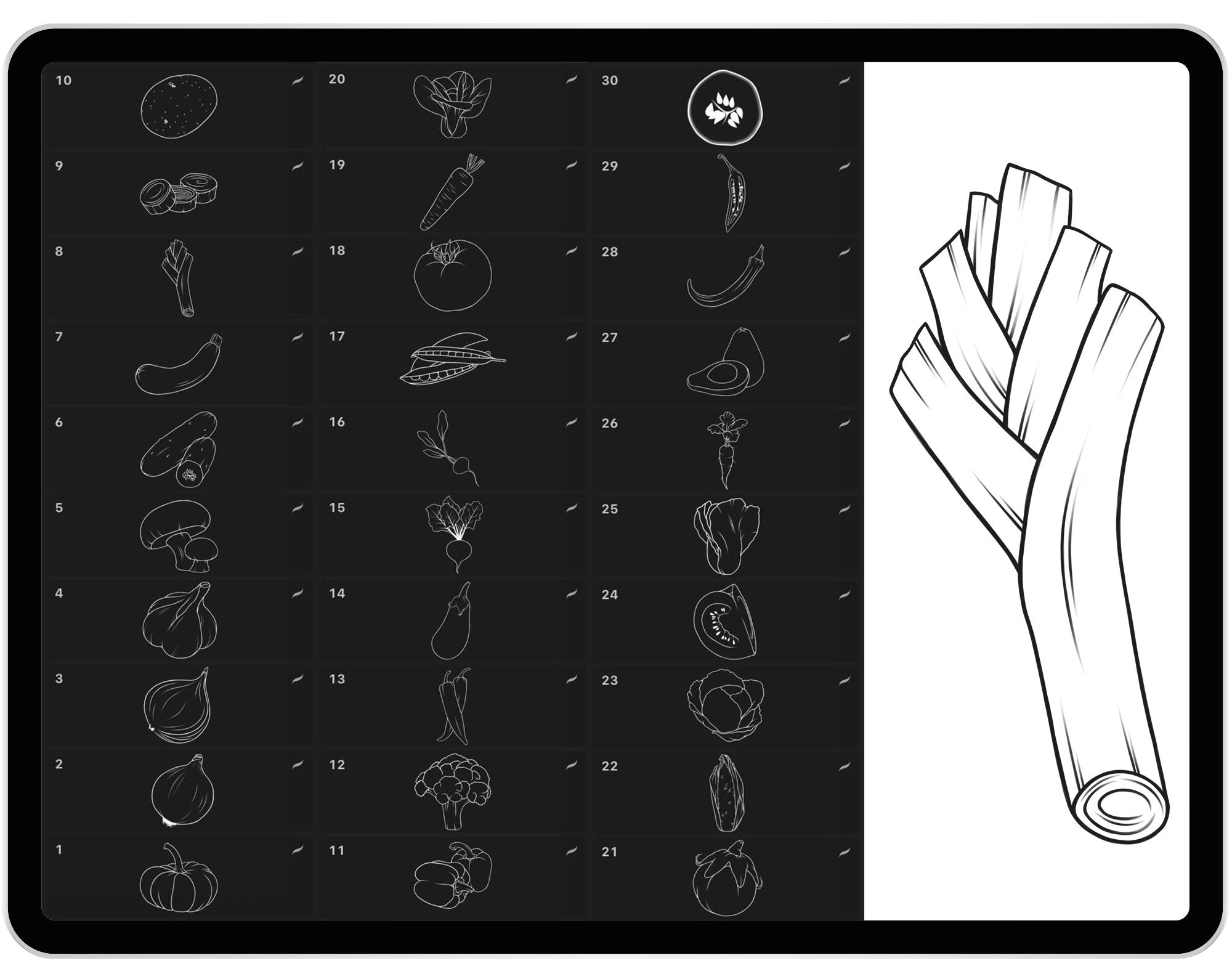 30 Procreate Vegetables Stamp Brushes Potato Cabbage Etsy