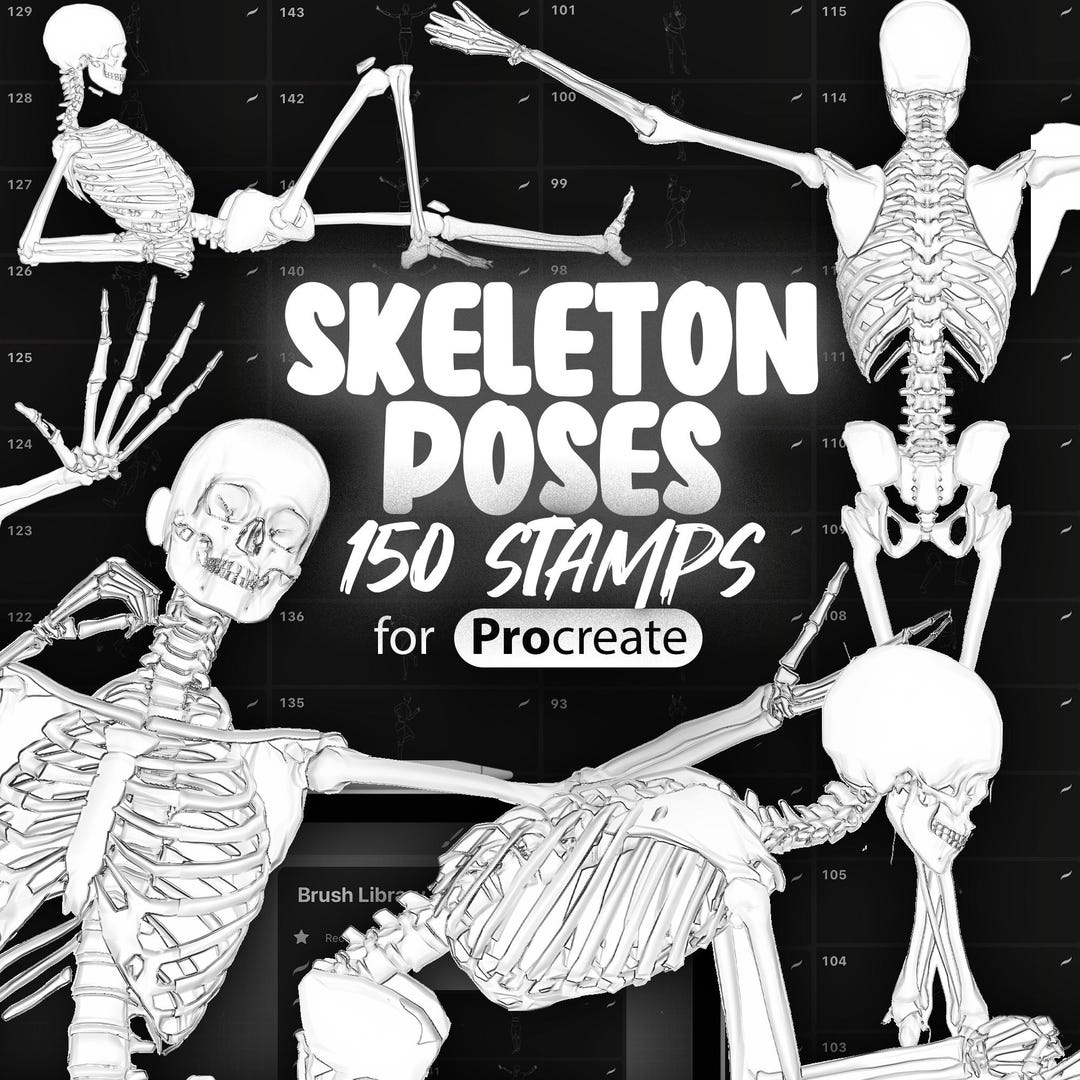 150 Procreate Skeleton Action Poses Stamps | Procreate Skull References ...