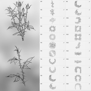 100 Procreate Roses Stamp Brushes | Photoshop Roses Brush | Clip Studio ...