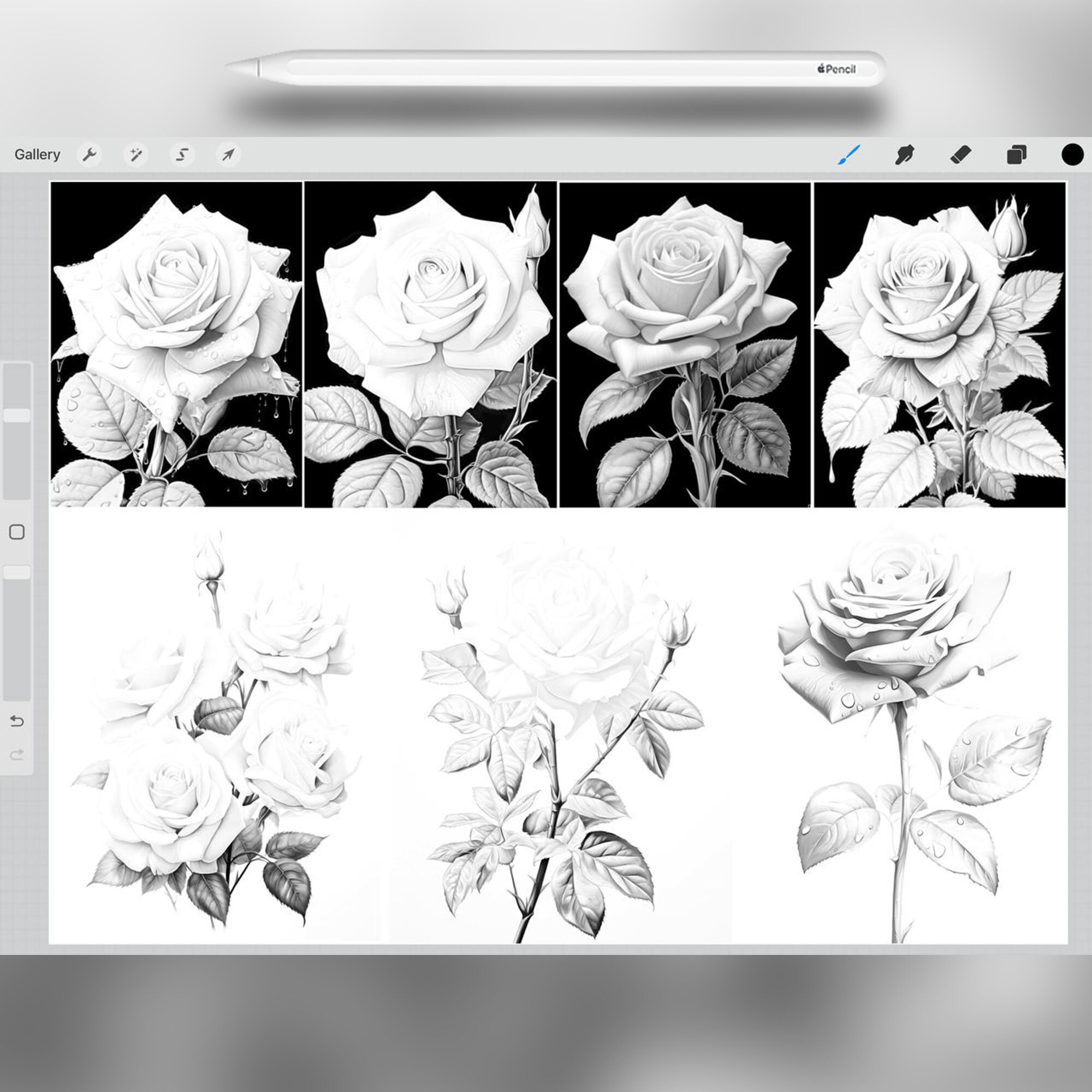 36 Roses Procreate Stamp Brushes, Procreate Flowers Stamp Brush - Etsy