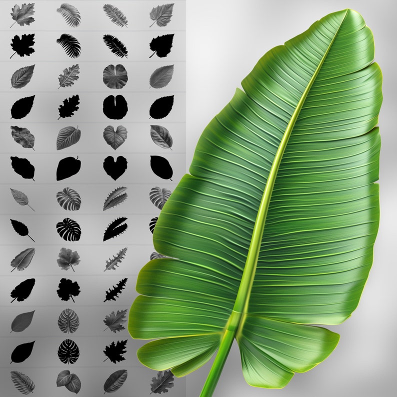 100 Procreate 2D Leaves Stamp Brushes | Procreate Leaf Stamp ...