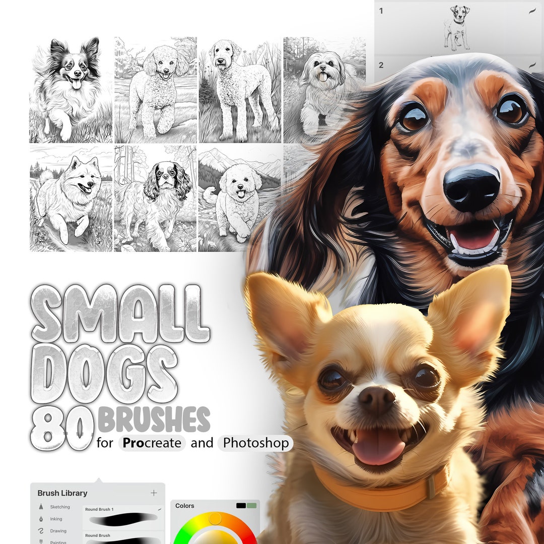 Procreate Lab Dog 80 Small Dog Breeds Procreate Brushes, 80 Small Dog Breeds Photoshop ...