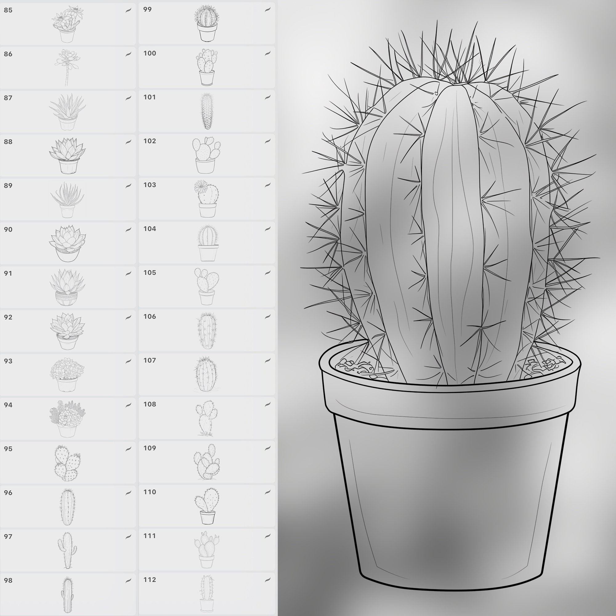 150 Procreate Cactus Stamp Brushes | Photoshop Succulents Brush | Clip ...