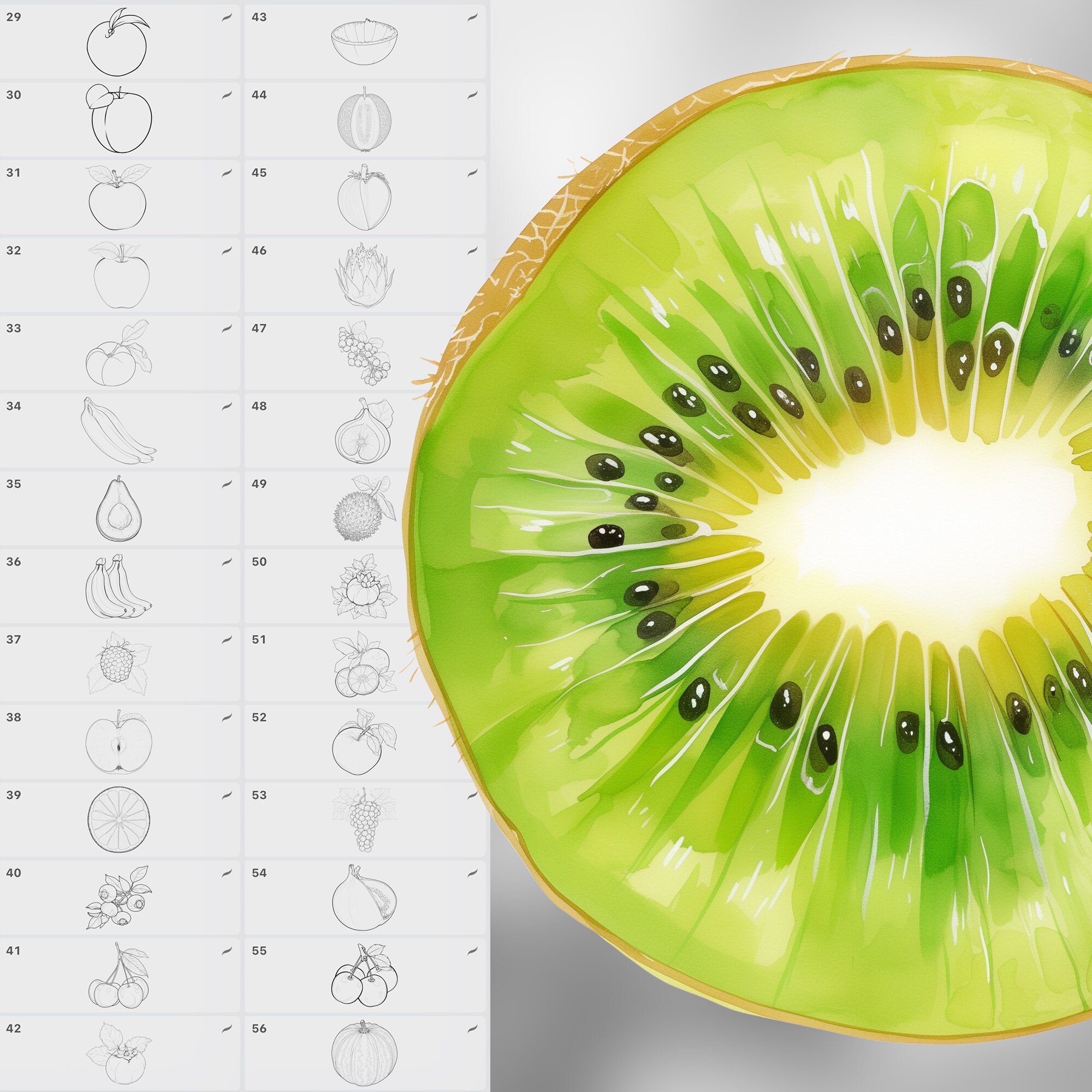 130 Procreate Fruits Stamp Brushes | Clip Studio Paint Fruit | Peach ...