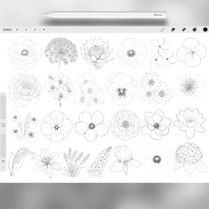 130 Procreate Flowers Stamp Brushes | Photoshop Wildflowers | Clip ...