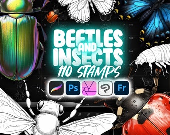 110 Procreate Käfer Stempel Pinsel | Photoshop Bugs Stempel | Clip Studio Paint Insekten Pinsel | Procreate Insekten | Procreate Bugs