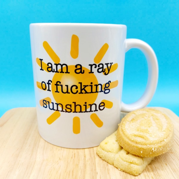 I am a ray of fucking sunshine MUG